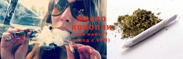 дмт Дмитров
