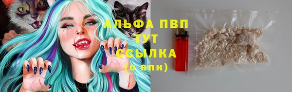 дмт Дмитров