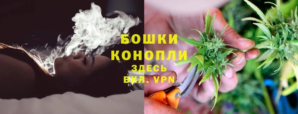 дмт Дмитров