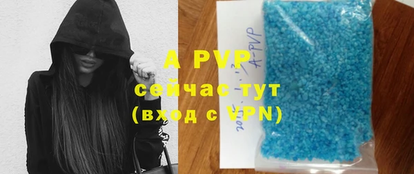 стафф Дмитровск