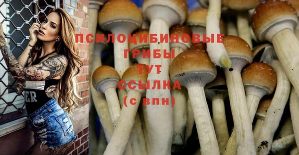 бутират Чердынь