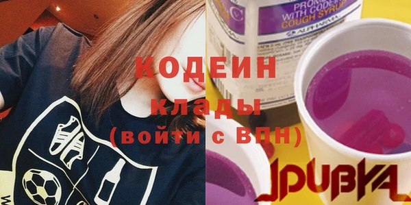 дмт Дмитров