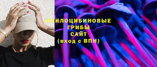 стафф Дмитровск