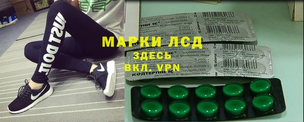 винт Чегем