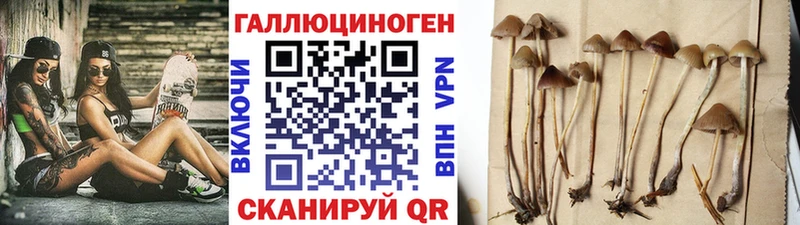 kraken ССЫЛКА Невель Галлюциногенные грибы мухоморы купить